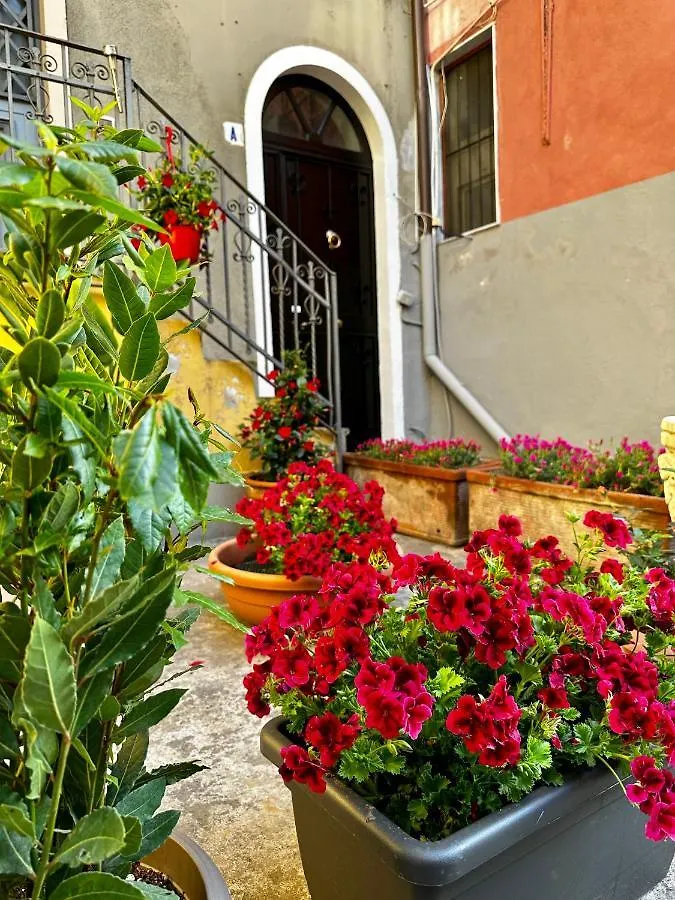 Mimmo'S House 2 Villa Catania Italy